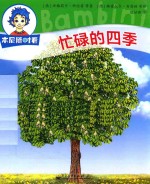 本尼随时看 忙碌的四季