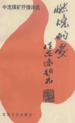 燃烧的爱 中流煤矿抒情诗选