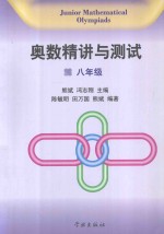 奥数精讲与测试 八年级