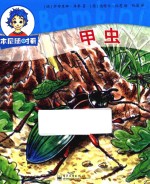 本尼随时看 甲虫