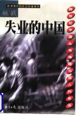 挑战失业的中国 跨世纪中国头号难题与国人的命运