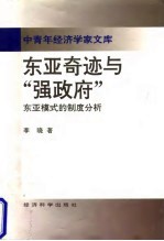 东亚奇迹与“强政府” 东亚模式的制度分析