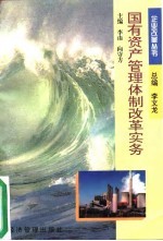 国有资产管理体制改革实务