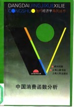 中国消费函数分析