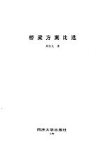 桥梁方案比选