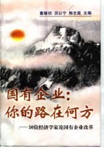 国有企业:你的路在何方 50位经济学家论国有企业改革