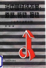 论中国经济改革:道路、转轨、接轨 从世界经济看中国
