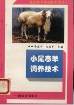 小尾寒羊饲养技术