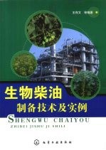 生物柴油制备技术及实例