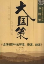 通向大国之路的中国策 全球视野中的环境、资源、能源