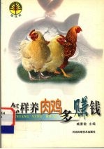 怎样养肉鸡多赚钱