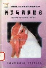 养鸡与鸡病防治