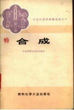 双加压流程碳酸氢氨生产 合成