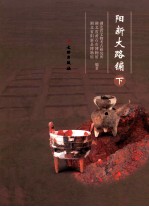 阳新大路铺 下