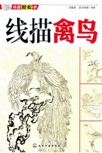 线描禽鸟