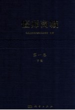 偃师商城 第1卷 下