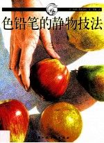 色铅笔的静物技法