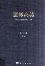 偃师商城 第1卷 上
