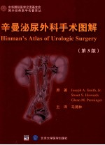 辛曼泌尿外科手术图解 第3版