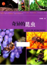 奇异的昆虫