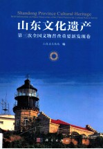 山东文化遗产 第三次全国文物普查重要新发现卷