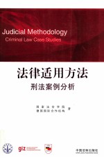 法律适用方法 刑法案例分析