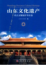 山东文化遗产 重点文物保护单位卷