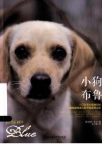 小狗布鲁 一只从死亡线救回的狗狗及其主人的寻找真相之旅