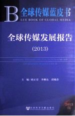 全球传媒发展报告 2013