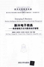 新兴电子商务 商务智能方法与服务知识管理
