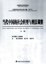 当代中国的社会转型与刑法调整 上
