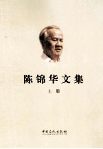 陈锦华文集 上