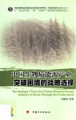 中国生物质能源产业：突破困境的战略选择