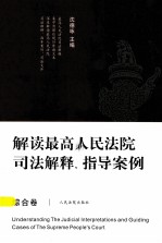 解读最高人民法院司法解释、指引案例 综合卷