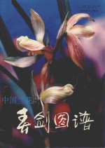 中国兰花 春剑图谱