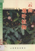 中国云南花卉丛书 云南观叶植物