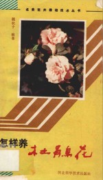 怎样养杜鹃花