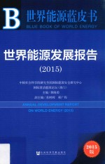 世界能源发展报告 2015