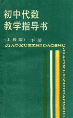 初中代数教学指导书 下 上教版
