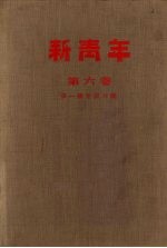 新青年 第六卷