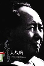 毛泽东大战略 第2版