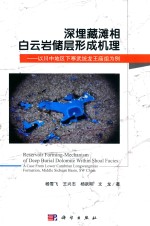 深埋藏滩相白云岩储层形成机理 以川中地区下寒武统龙王庙组为例