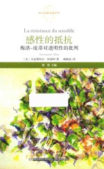 感性的抵抗 梅洛-庞蒂对透明性的批判