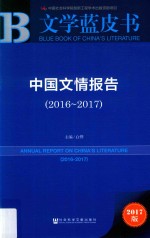 中国文情报告 2016-2017
