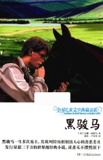 全球儿童文学典藏书系 第2辑 黑骏马 升级版