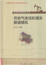 页岩气渗流机理及数值模拟