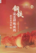 钢铁是怎样炼成的科普系列集 上