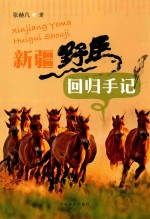 新疆野马回归手记
