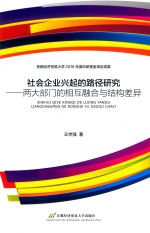 两大部门的相互融合与结构差异 社会企业兴起的路径研究