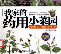我家的药用小菜园 种出来的健康生活彩